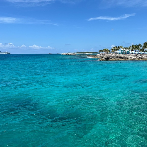 Meet your Posher, Tamara - Picture 1 of 1